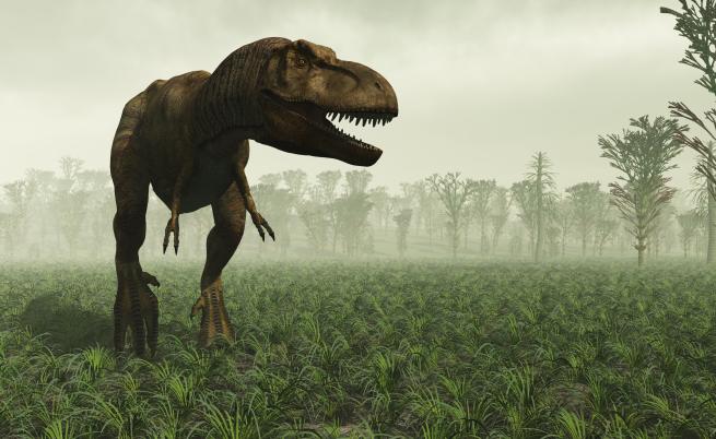 Тракторите увреждат почвата, която по-тежките динозаври са опазили