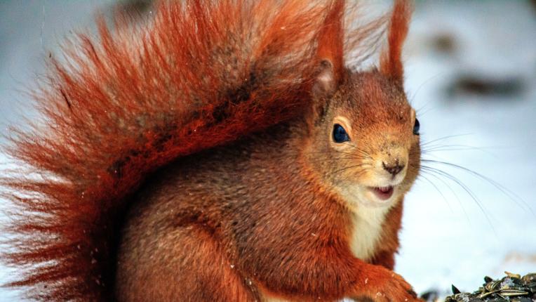  Дневен хороскоп за 1 декември, четвъртък 