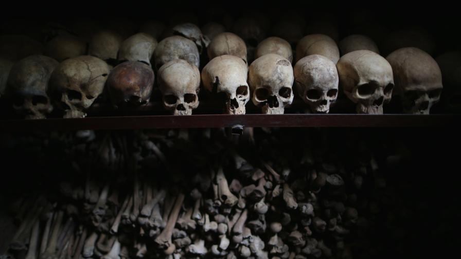 <p>Ужасът в Руанда е открит в ДНК на поколенията</p>