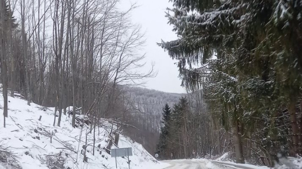 Над 310 снегопочистващи машини обработват пътните настилки в районите със снеговалеж