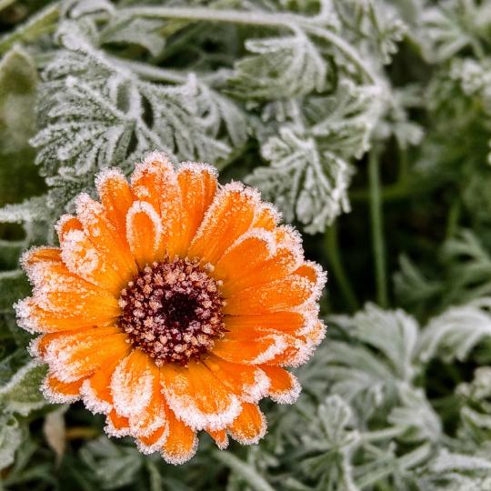 Дневен хороскоп за 25 януари, вторник - снимка 10