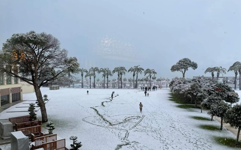 Днес от 9:30 часа ЦСКА трябва да изиграе втората си