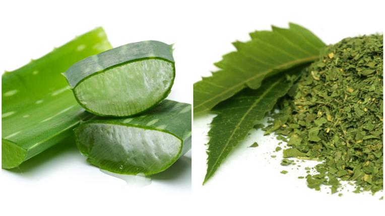  5 натурални метода да се отървем от зимния пърхот: лесни маски в домашни условия 