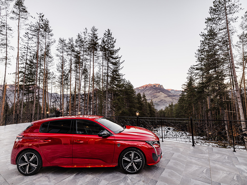 <p>Peugeot 308 галерия</p>