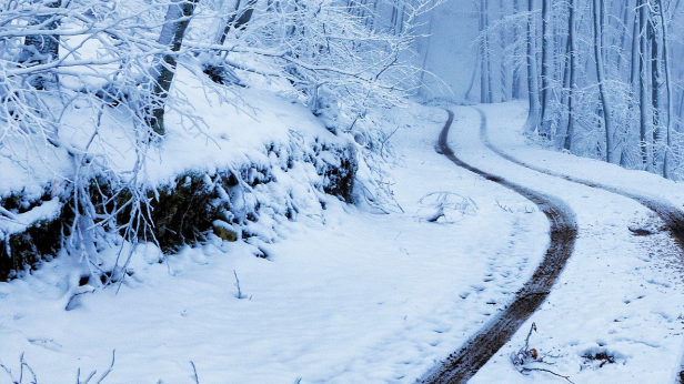 Половин метър сняг в Румъния