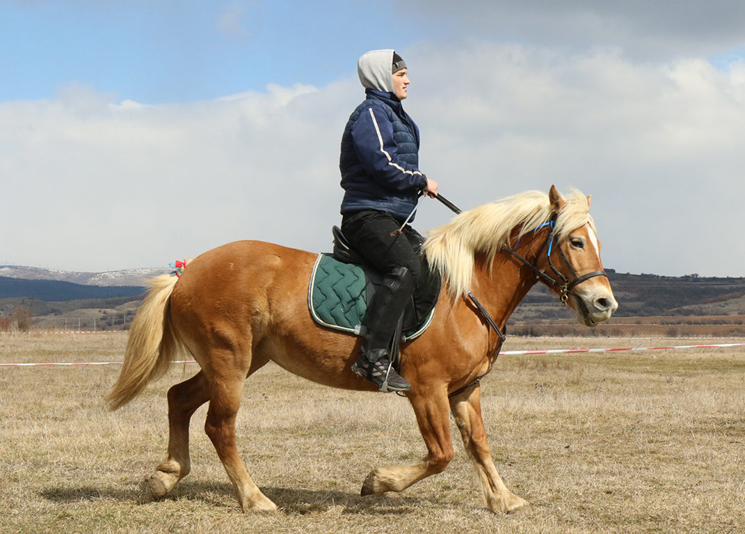 <p>Тодоров ден - Конски Великден в село Априлово</p>