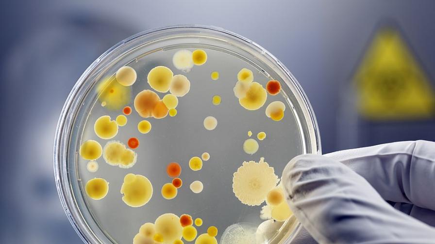 Внимание! "Месоядни" бактерии убиват хора в езерата в САЩ