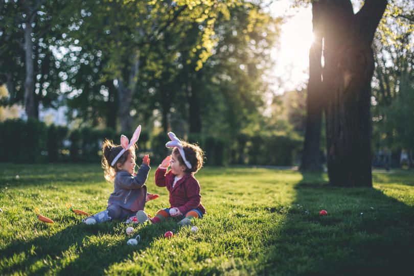 Дневен хороскоп за 24 април, неделя - снимка 8