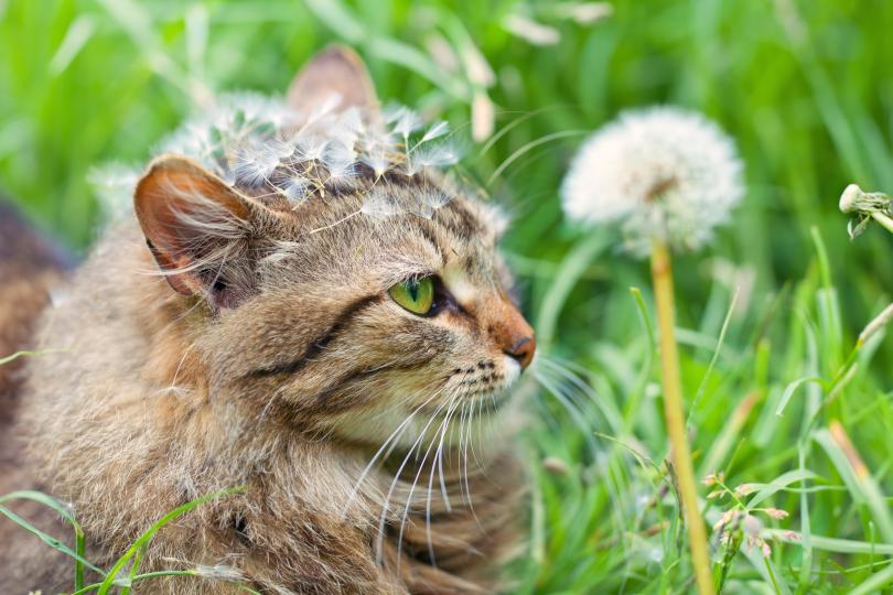 Дневен хороскоп за 27 април, сряда - снимка 10