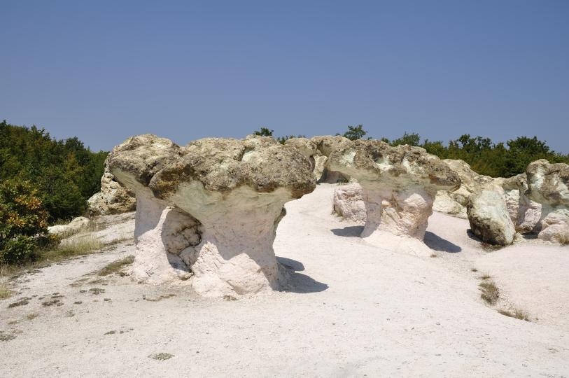 <p><strong>Каменните гъби</strong> са скални образувания, които се намират източно от с. Бели пласт. Скалните образувания имат форма на естествени гъби &ndash; пънчетата им са розови, а шапките &ndash; зеленикави. Туфите, от които са се оформили каменните гъби, са резултат от интензивна подводна вулканична дейност, датираща от времето на палеогена.</p>