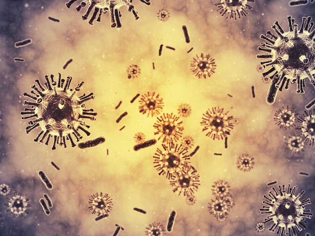 Преди 15 милиона години древна група вируси се разбунтува сред безброй