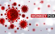 Какво е маймунска шарка: Симптоми, разпространение и предпазване