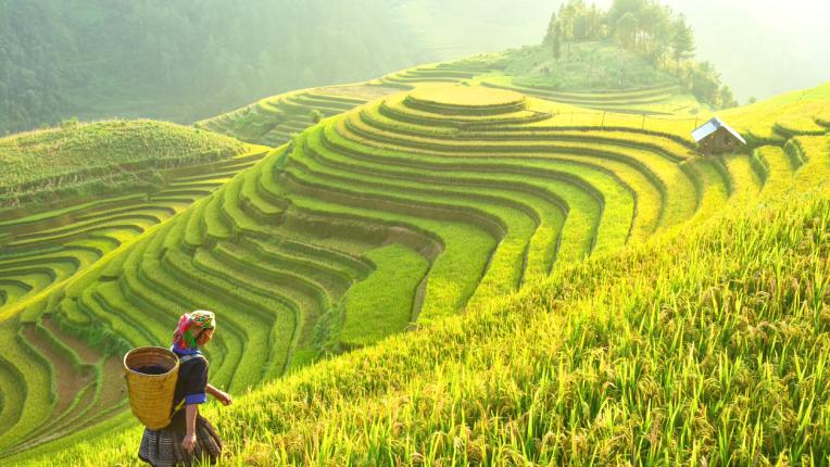  Житейските правила на японските нинджи 