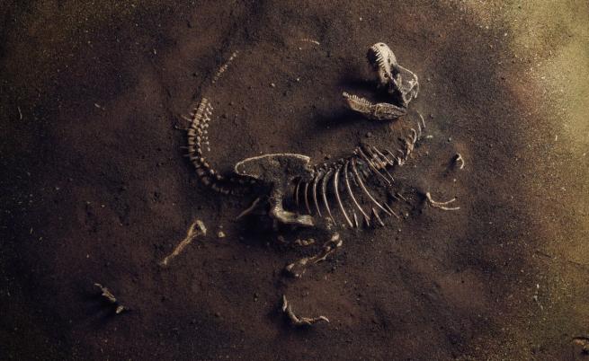 Откриха останките на най-големия месояден динозавър в Европа