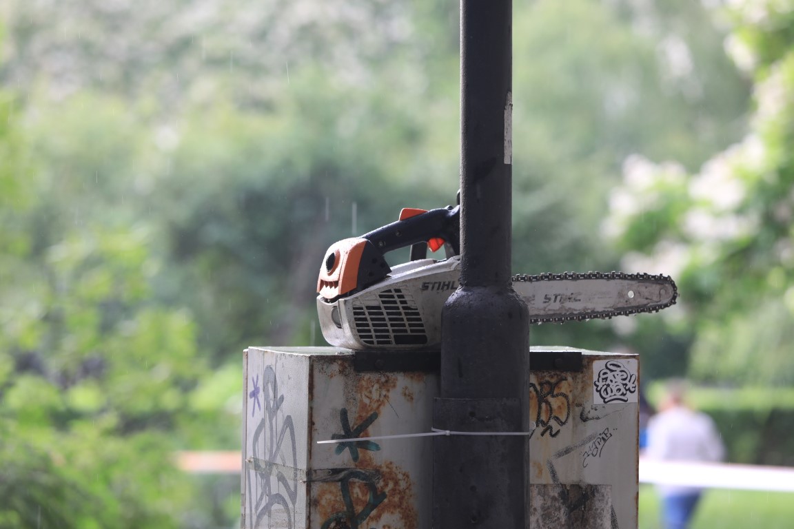 <p>Дърво падна пред Народния театър в София</p>