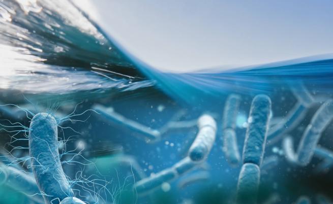 Депортират китайски учен от САЩ: Опитал да внесе опасни бактерии в пратка с дамско бельо