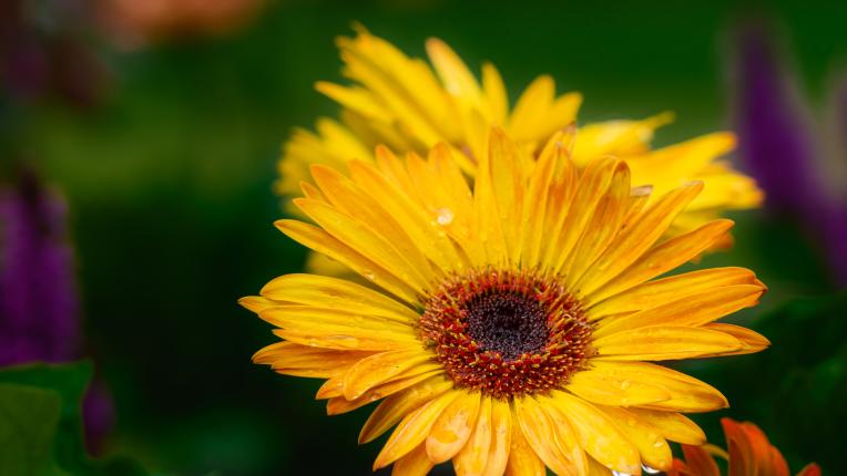 Дневен хороскоп за 14 април, вторник