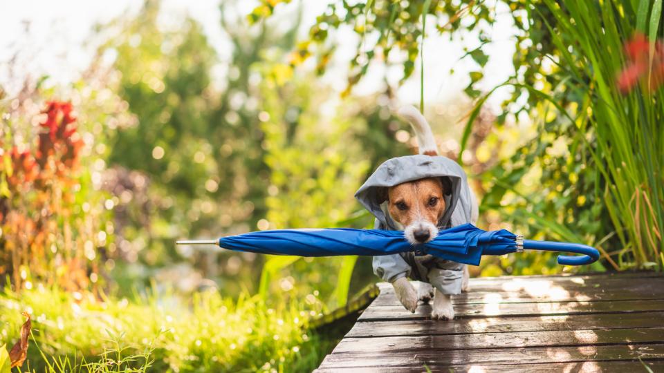 Цялата предстояща седмица ще е с неустойчиво време, особено в