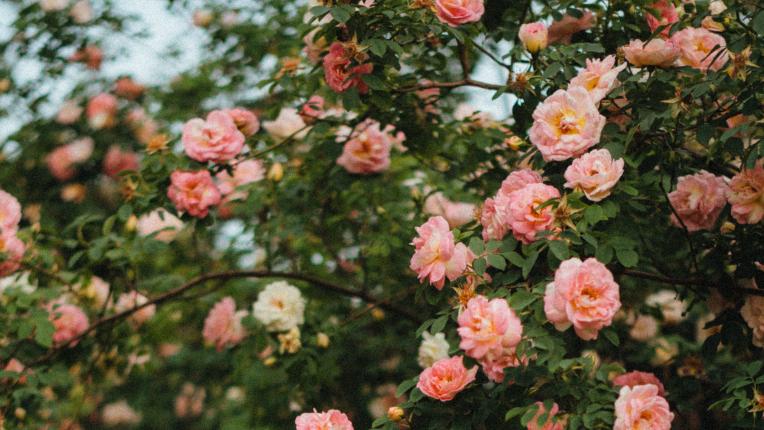 Дневен хороскоп за 10 април, петък