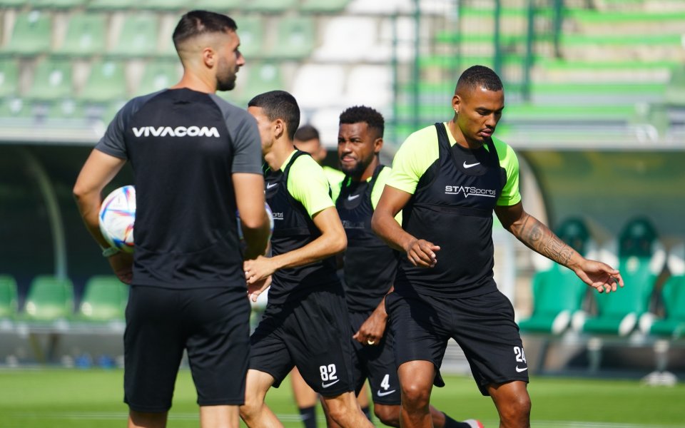 Лудогорец приема литовския шампион Жалгирис в плейоф за влизане в