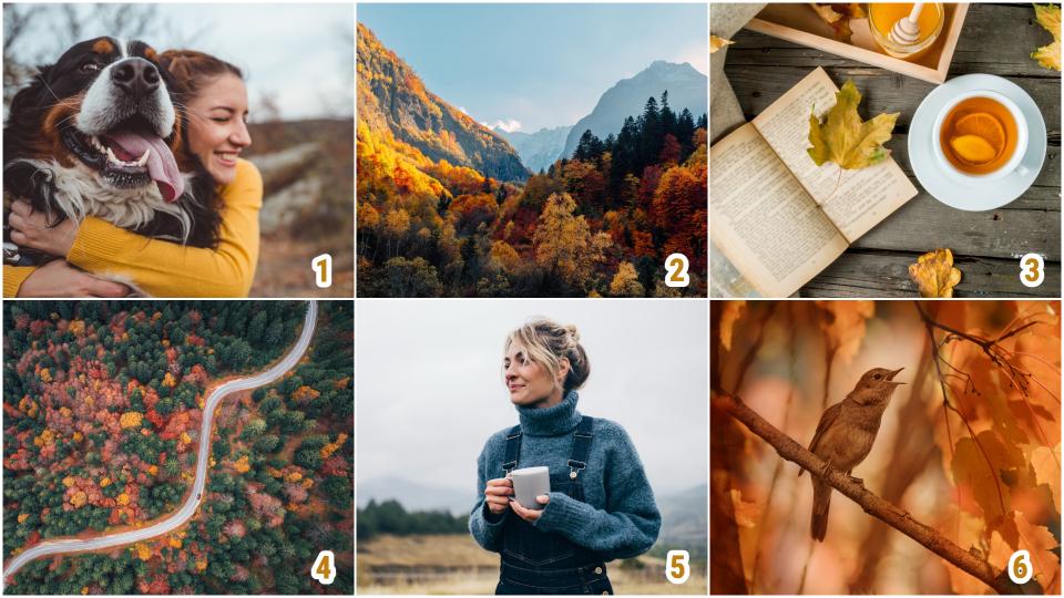  картинки септември есен 