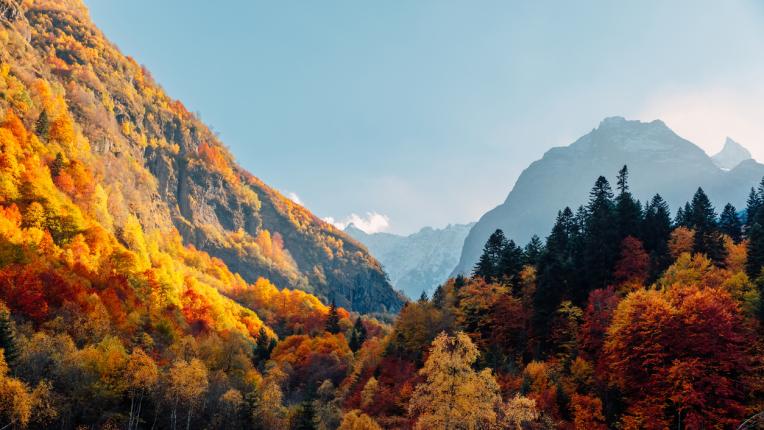  Гадание по картинки: какво ви чака през септември 