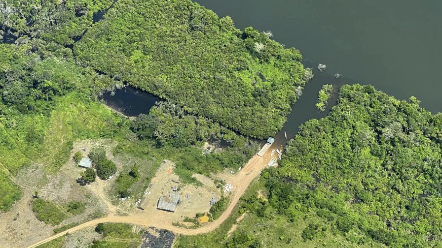 Дървосекачи прокарват нелегални пътища в обезлесявана Бразилска Амазония