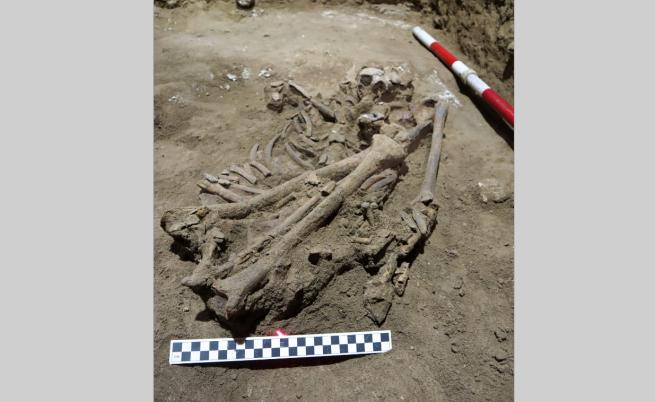 Скелет от каменната ера е най-древното доказателство за ампутация
