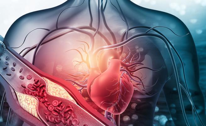 Подсладителите повишават риска от болести на сърдечносъдовата система