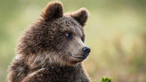 Снимката е илюстративна