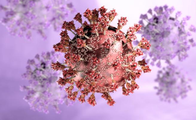 Шведски учени с ново откритие за имунитета срещу тежък COVID-19