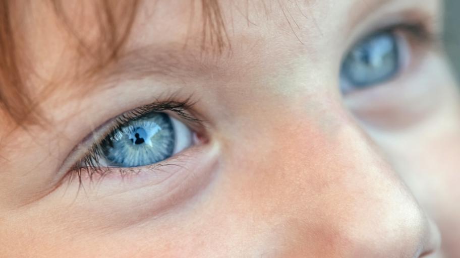 Далтонизъм или цветна слепота при децата - по какво да го познаем
