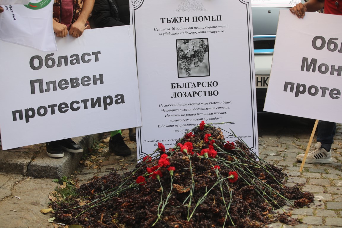 <p>Протест на лозари в София</p>
