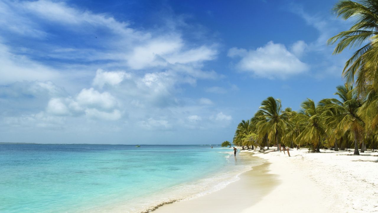 <p><strong>Бахамите</strong><br />
Някога скривалище на пиратски съкровища и забранен алкохол, остров Харбър на Бахамските острови е колоритно ексцентрично убежище, където всяка вечер е купон и всеки ден е по-оживен от предишния. Пясъкът е розов, тюркоазената вода е дом на зелени морски костенурки и оранжеви морски звезди, а около дърветата летят птици с жълти гърла. Дните на плажа са дълги и мързеливи, а времето прекарано през деня на острова е незабравимо. Подходящо време да посетите това райско място е в месеците от ноември до март, като средната температура е 25&deg;C.<br />
<br />
&nbsp;</p>