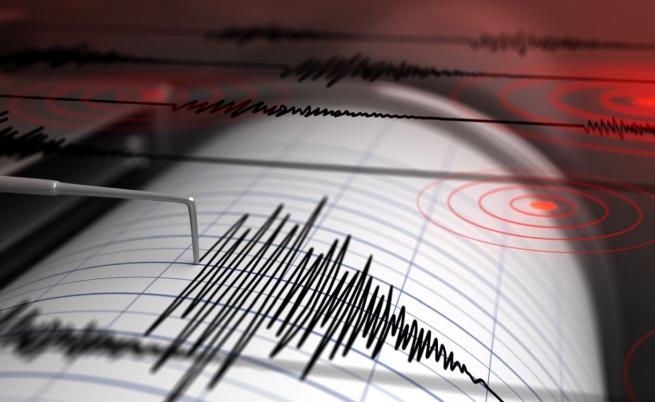 Земетресение с магнитуд 6.1 по Рихтер разтърси Япония