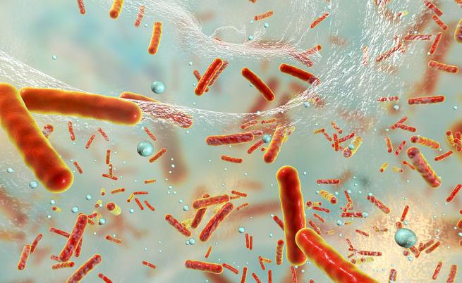 Бактериалните инфекции - втората водеща причина за смъртните случаи по света