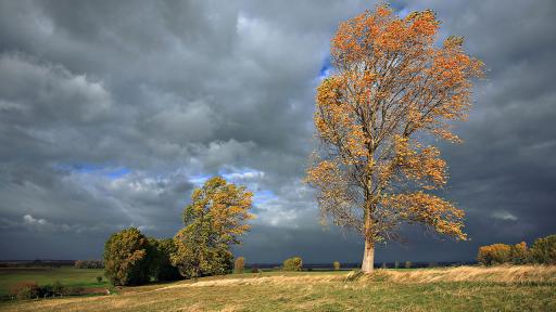Жълт код за силен вятър в 12 области в неделя