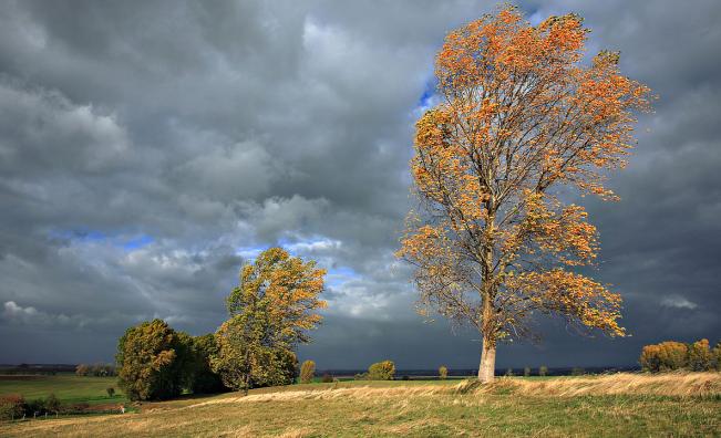 <p>Температурите падат до минус 3&deg;, вятърът се усилва</p>
