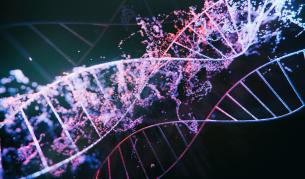 Древна ДНК разкрива мистериозна империя