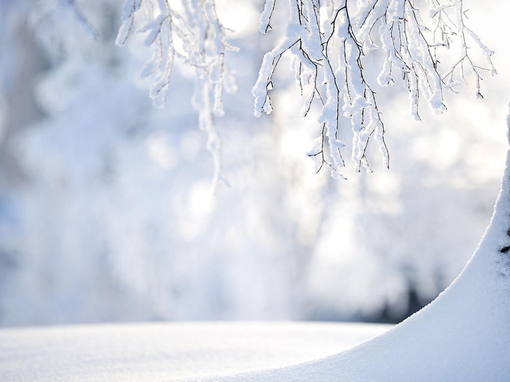 Средномесечните температури през декември ще бъдат около нормата, съобщават от