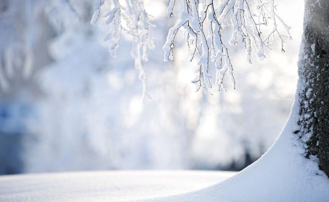 Времето през декември: От - 10° до 18°, ще има ли сняг за Коледа?