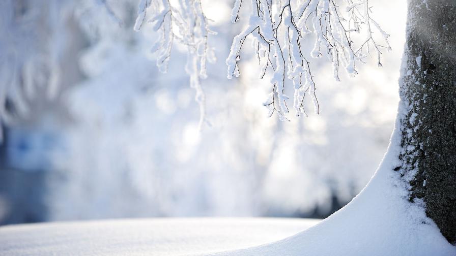 Времето през декември: От - 10° до 18°, ще има ли сняг за Коледа?