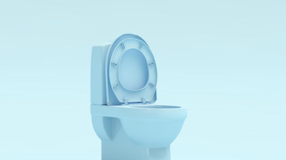 Мит или реалност: Бременните оцветяват тоалетната в синьо
