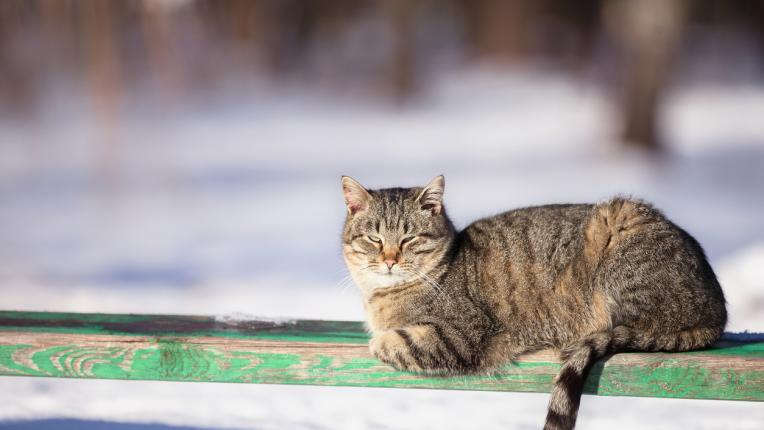  Дневен хороскоп за сряда, 31 януари 