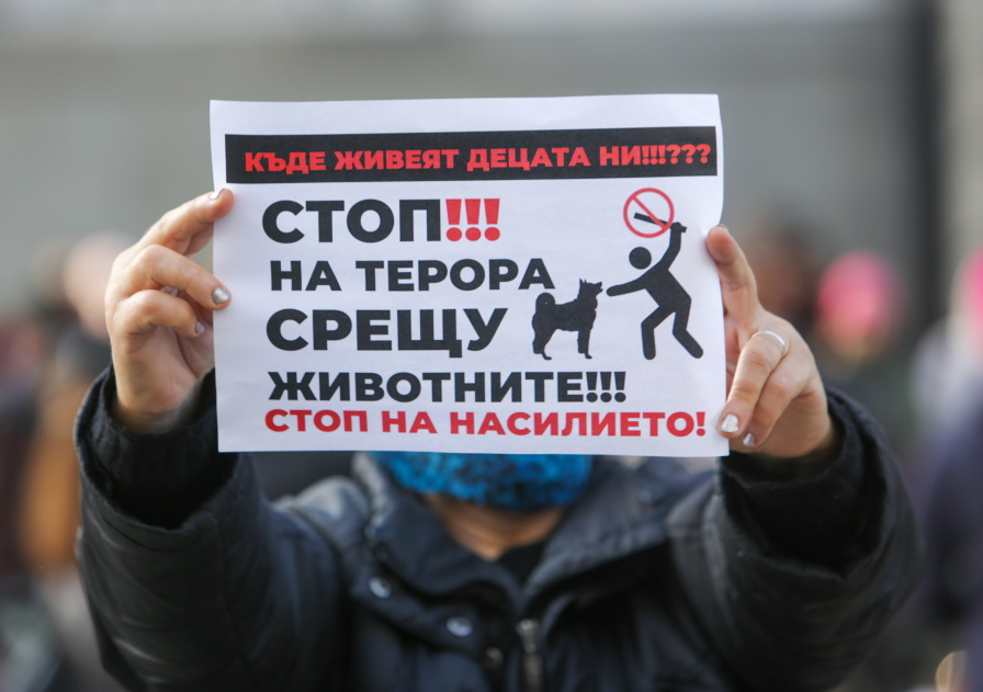 <p>Протест срещу насилието над животни в София</p>