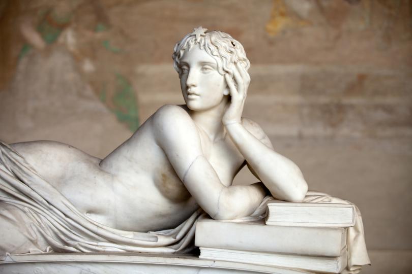 <p><strong>Агалматофилия: </strong>възбуда от&nbsp;статуи. За тези хора Венера Милоска сигурно е сексуален идол.</p>