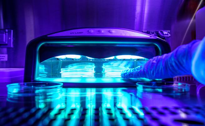 Учени: UV изсушителите на лак за нокти са вредни