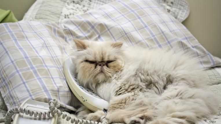  Дневен хороскоп за събота, 21 януари 