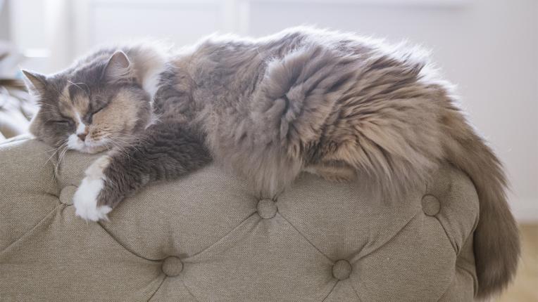  Дневен хороскоп за събота, 21 януари 