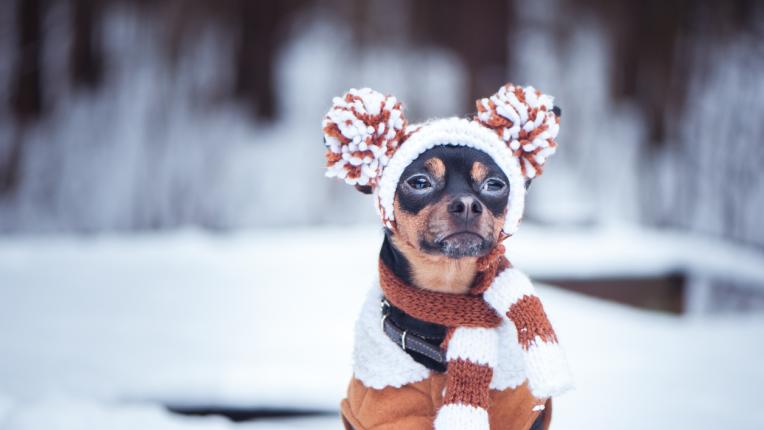  Дневен хороскоп за четвъртък, 25 януари 